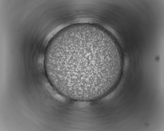 X0000113850778200910151211