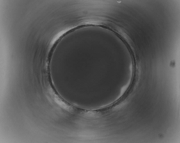 X0000113850779200910151211