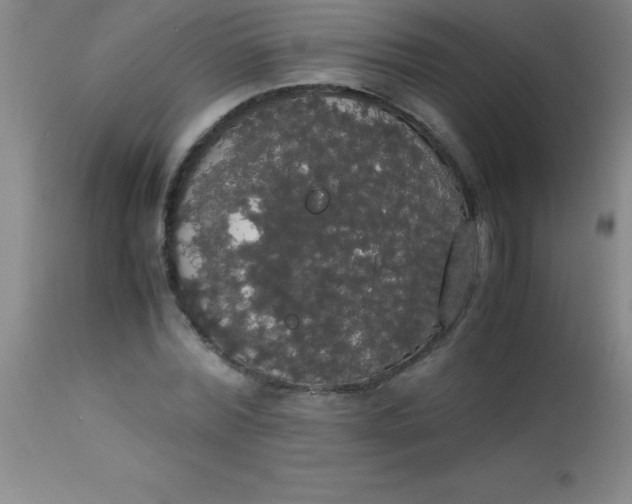 X0000113850780200910151211