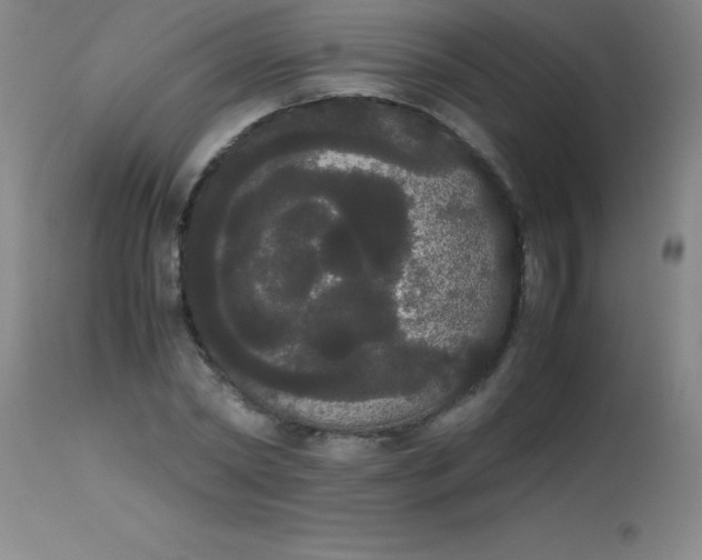 X0000113850782200910151211