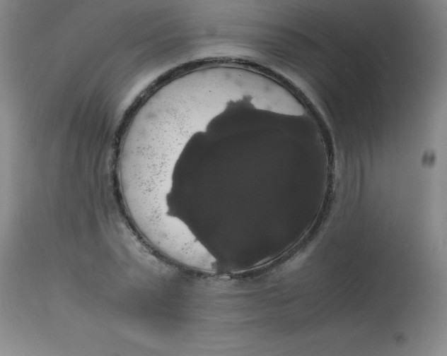 X0000113850783200910151211