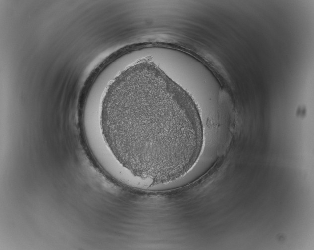 X0000113850784200910151211