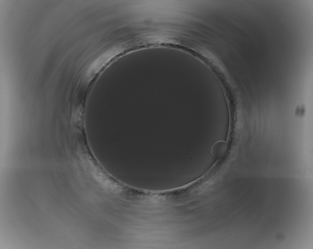 X0000113850785200910151211