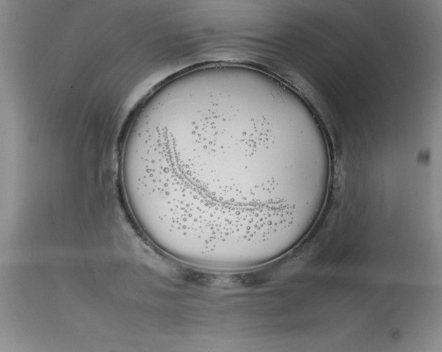 X0000113850787200910151211