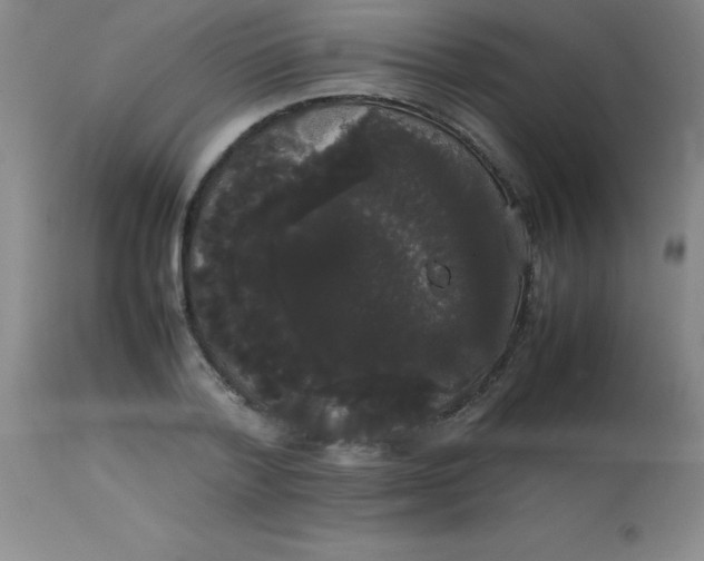 X0000113850788200910151211