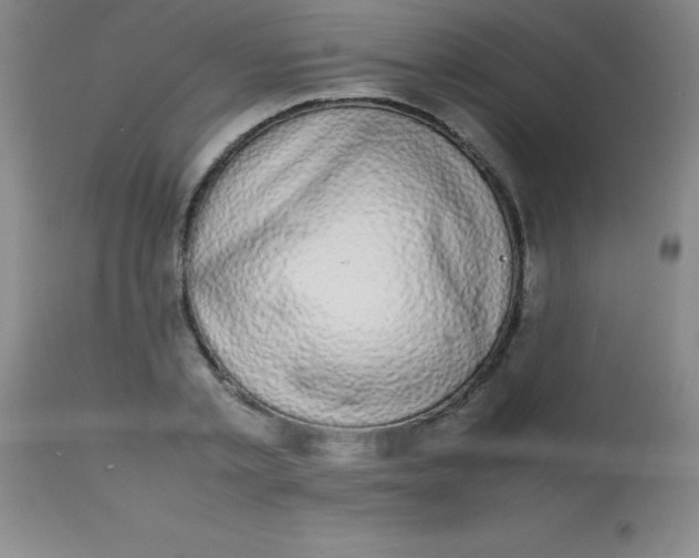 X0000113850789200910151211