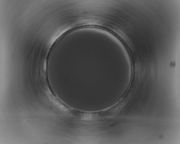 X0000113850790200910151211