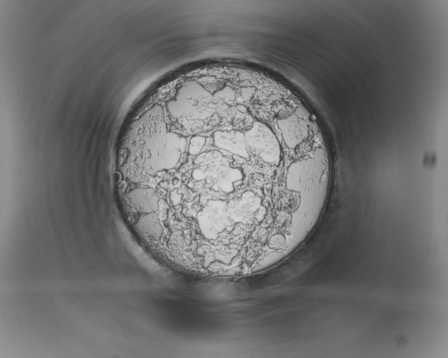 X0000113850791200910151211