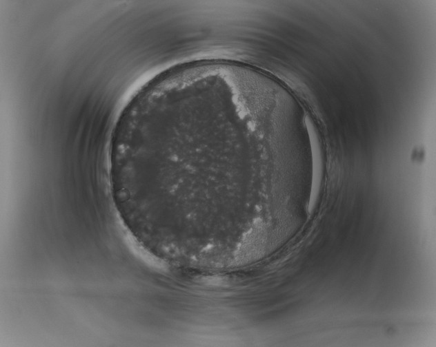 X0000113850792200910151211