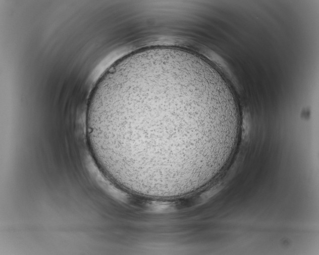 X0000113850794200910151210