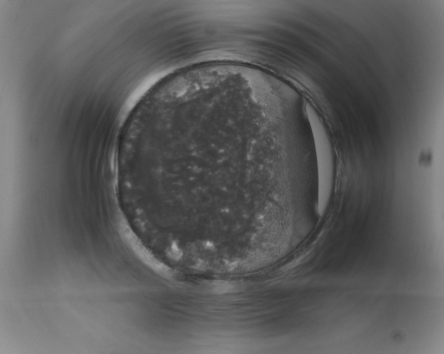 X0000113850796200910151210