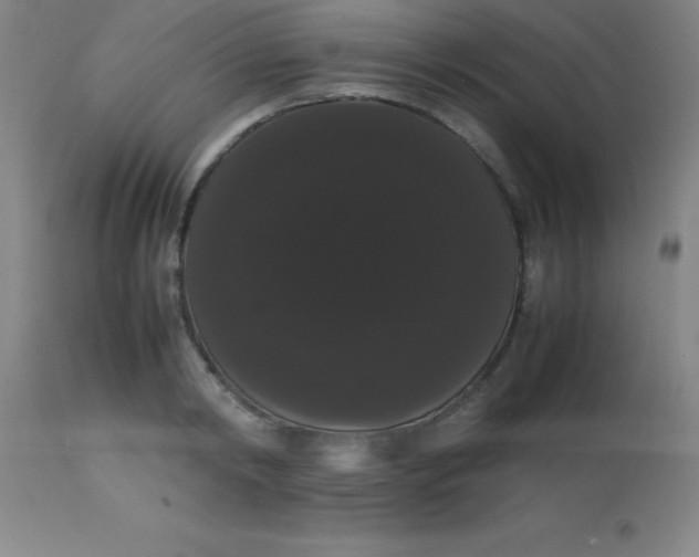 X0000113850798200910151210