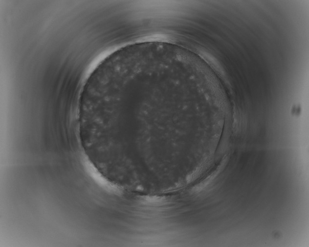 X0000113850800200910151210