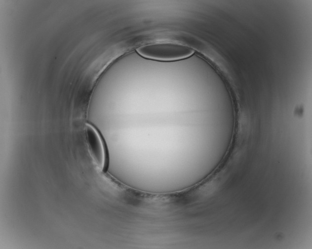 X0000113850801200910151210