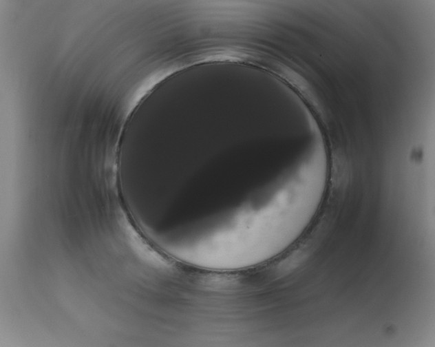 X0000113850802200910151210