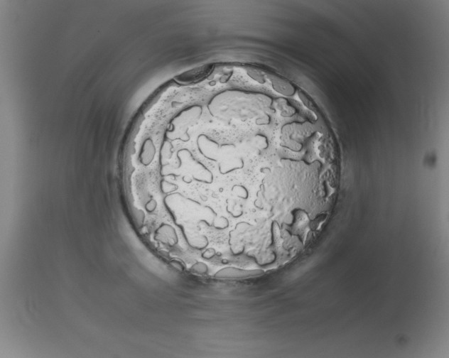 X0000113850803200910151210