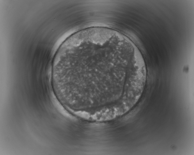 X0000113850804200910151210