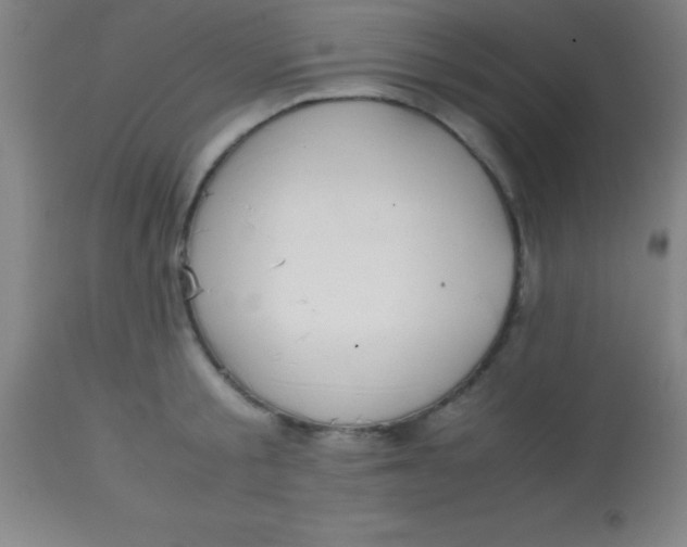 X0000113850805200910151210