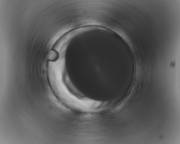 X0000113850806200910151210