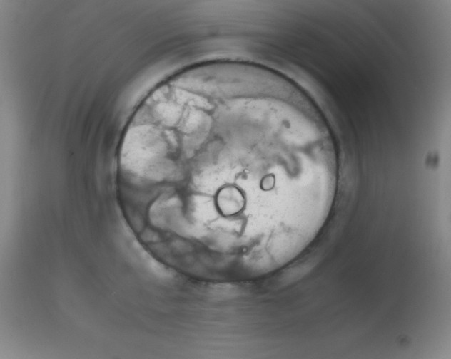 X0000113850807200910151210