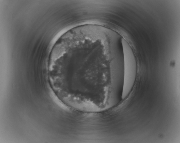 X0000113850808200910151210