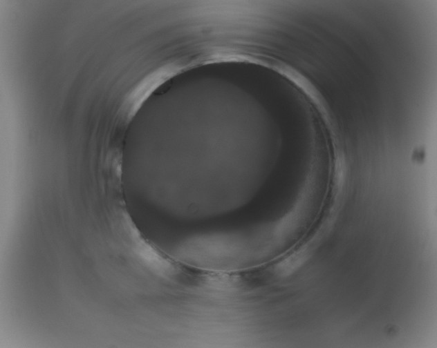 X0000113850809200910151210