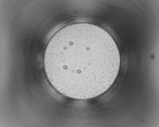 X0000113850810200910151210