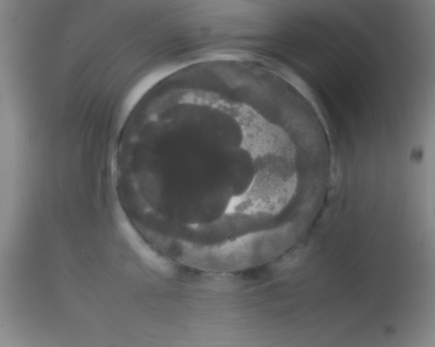 X0000113850811200910151210