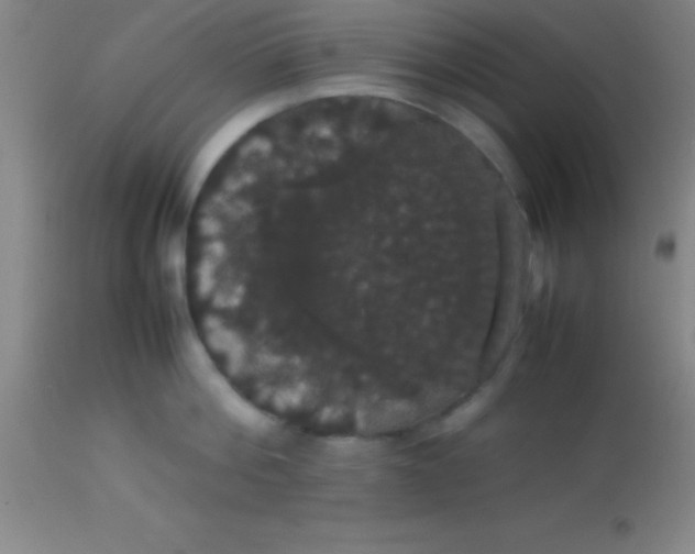 X0000113850812200910151210