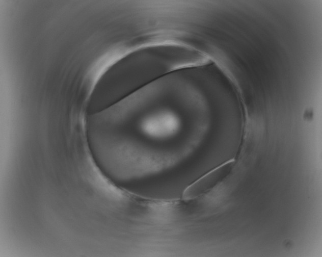 X0000113850813200910151210