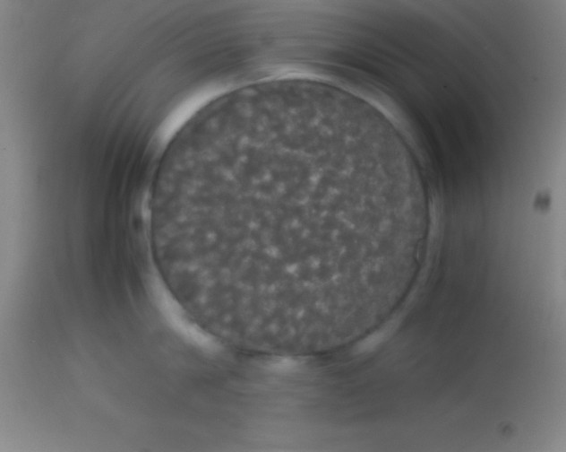 X0000113850814200910151210