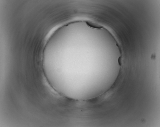 X0000113850815200910151210