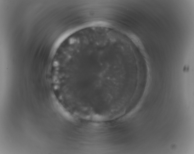 X0000113850816200910151210