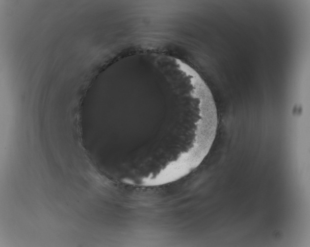 X0000113850817200910151209