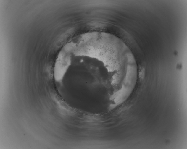 X0000113850819200910151209