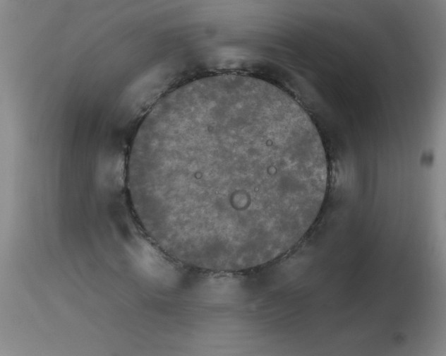 X0000113850820200910151209