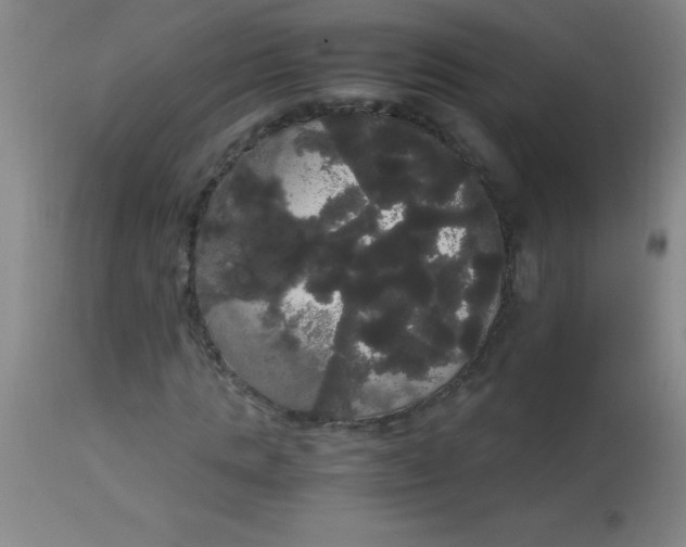 X0000113850821200910151209