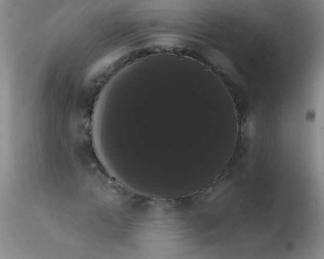 X0000113850822200910151209