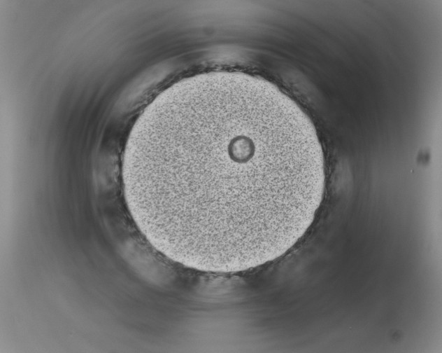 X0000113850824200910151209