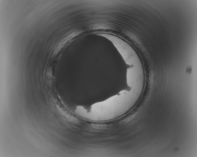 X0000113850825200910151209