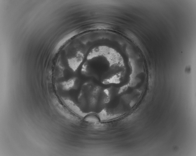 X0000113850827200910151209