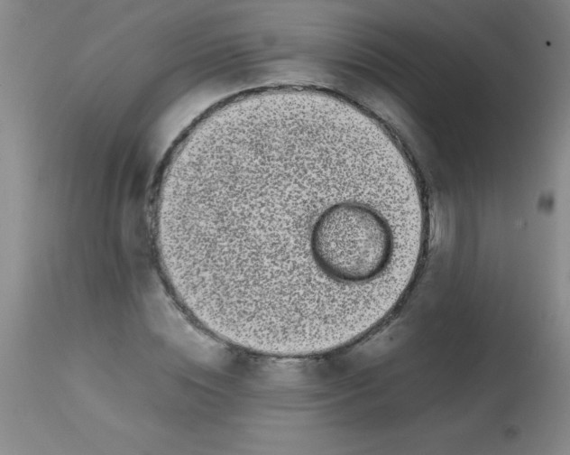 X0000113850828200910151209