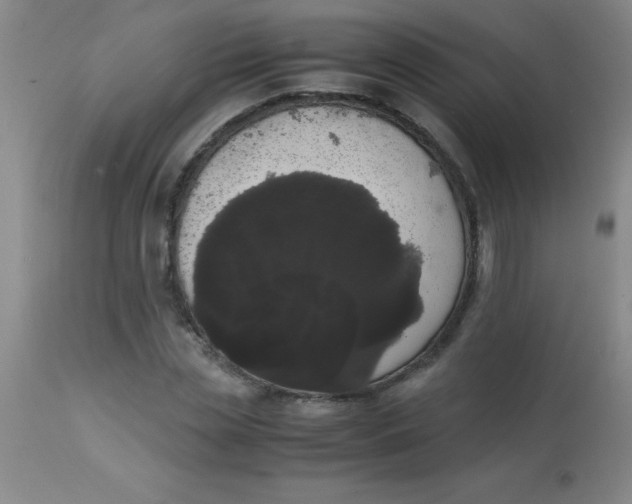 X0000113850829200910151210