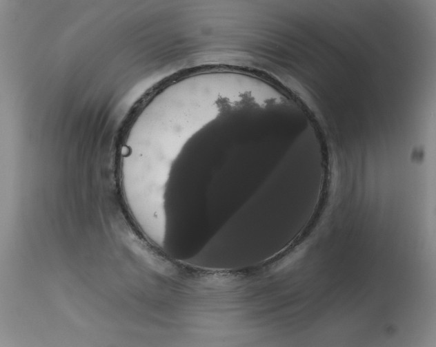 X0000113850830200910151210