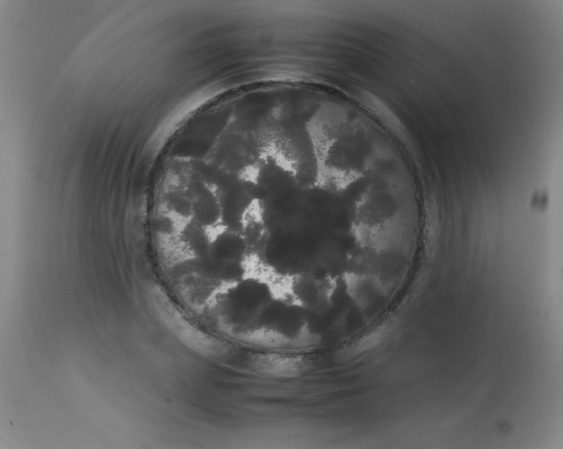 X0000113850831200910151210