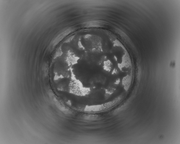 X0000113850833200910151210