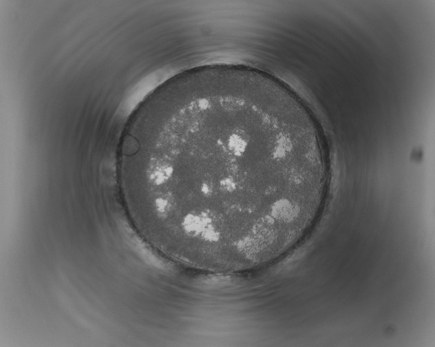 X0000113850834200910151210