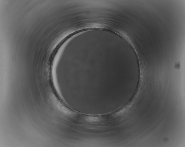 X0000113850835200910151210