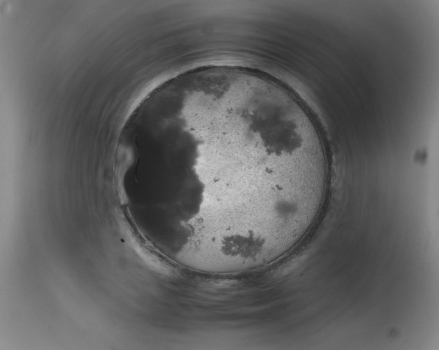 X0000113850837200910151210