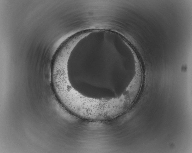 X0000113850838200910151210